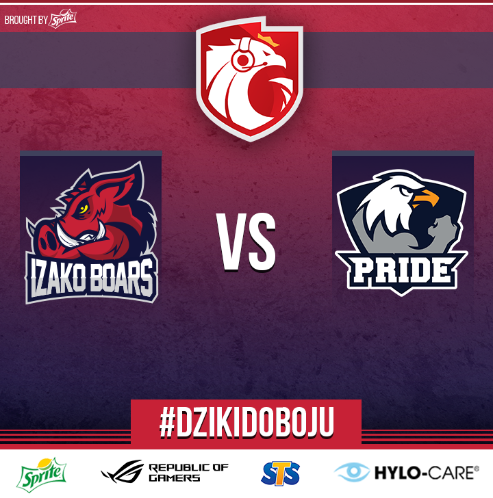 dziki